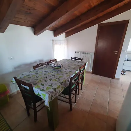 Gabbiano Jonathan Чиро-Марина