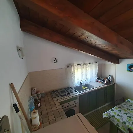 Gabbiano Jonathan Чиро-Марина