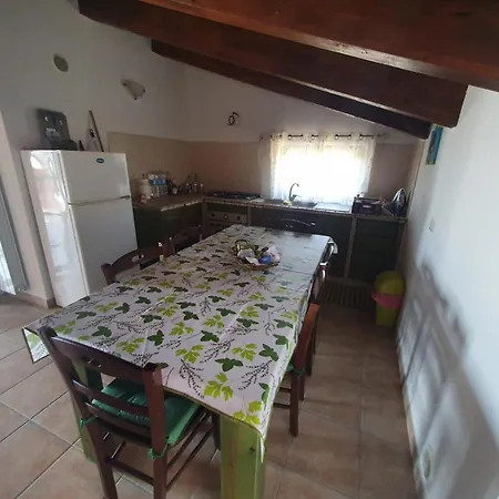 Gabbiano Jonathan 시로마리나