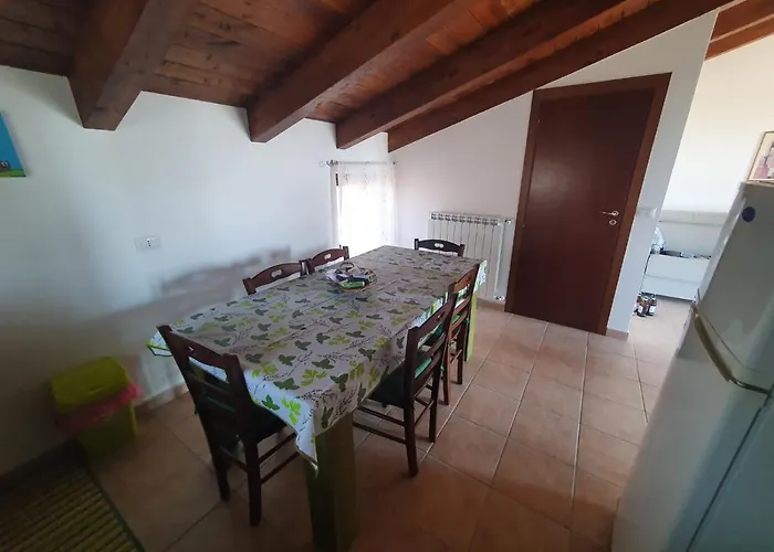 Gabbiano Jonathan Cirò Marina