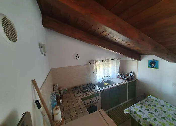 Gabbiano Jonathan Cirò Marina