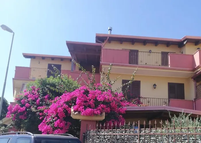 Gabbiano Jonathan Cirò Marina