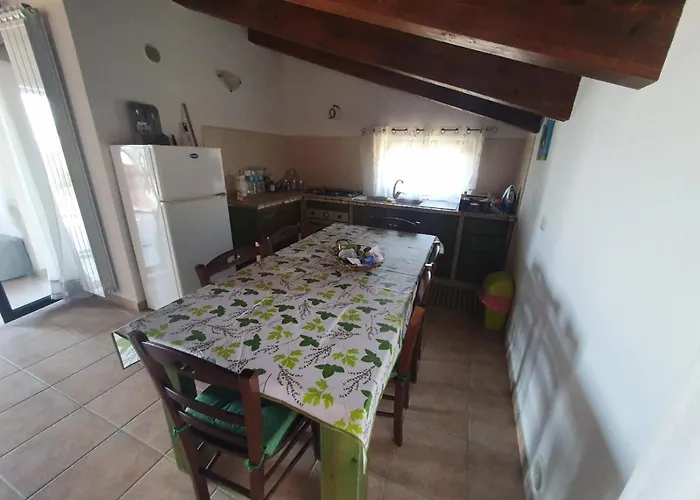 Gabbiano Jonathan Cirò Marina